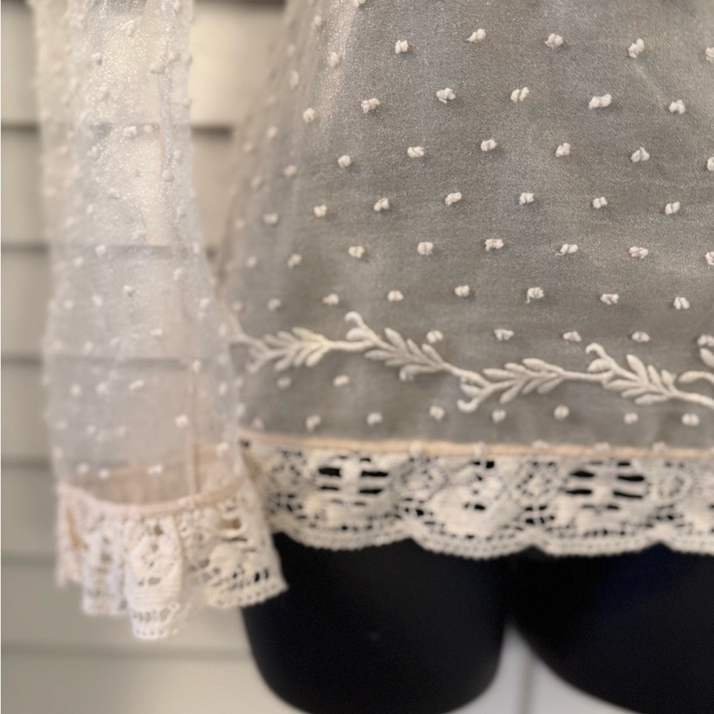 Zara Elegant Vintage Inspired Lace Embroidered Women's Sheer Top Size Medium NWT - Picture 5 of 9